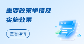 重要政策举措及实施效果